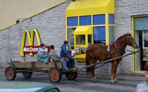 mcdonalds-drive-through-in-romania-horse1